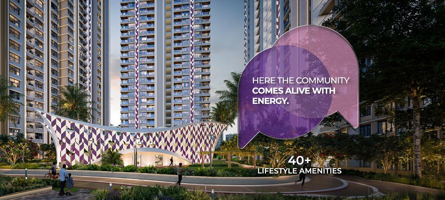 eden park 40 plus amenities